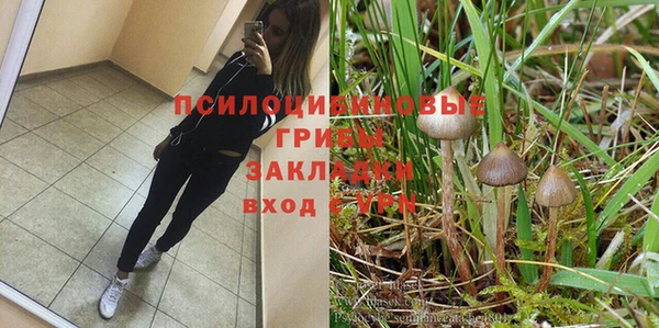 шишки Апатиты