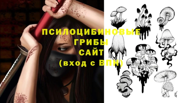 PSILOCYBIN Михайловка