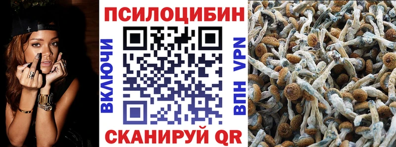 ссылка на мегу ONION  Сусуман  Псилоцибиновые грибы Cubensis 