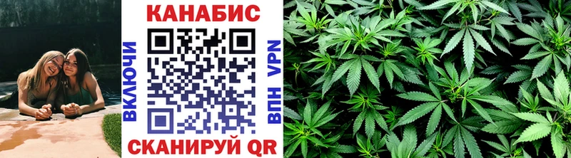 Бошки Шишки индика  дарк нет наркотические препараты  Сусуман 